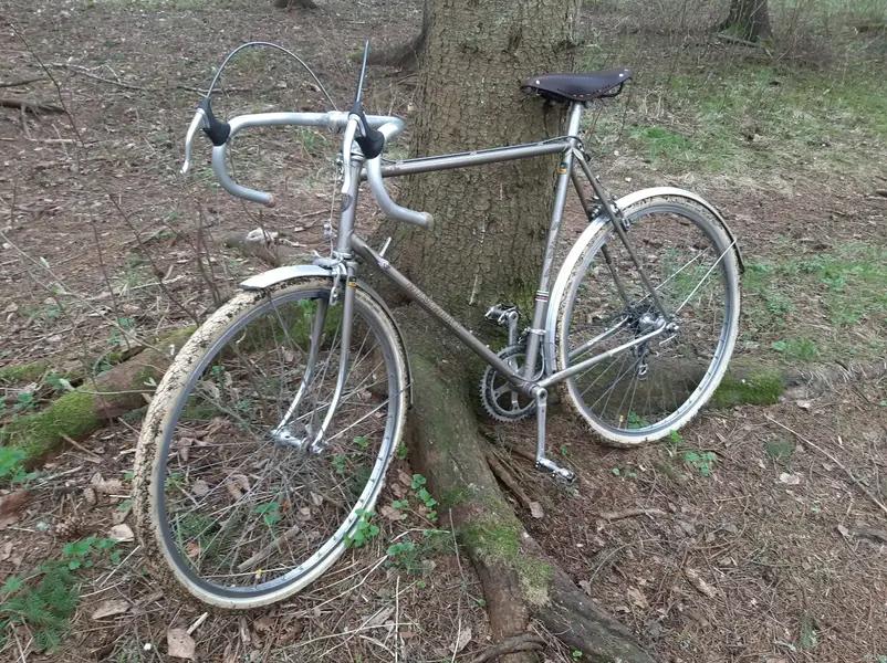 Nishiki_ (5).webp