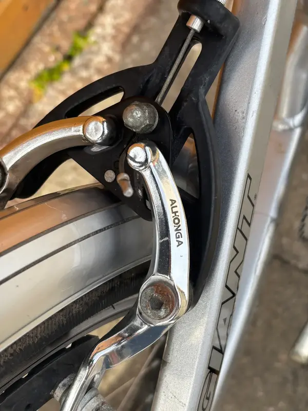 Rear.webp
