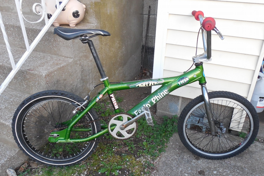 mongoose ready a.webp mongoose ready a.webp