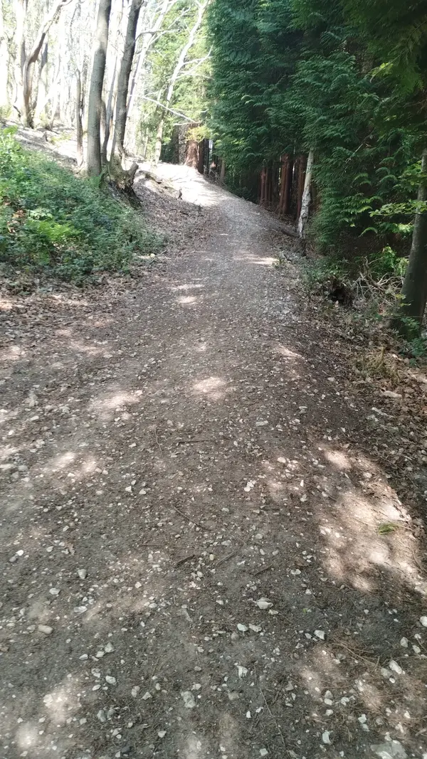 IMG_20250430_095748532.webp