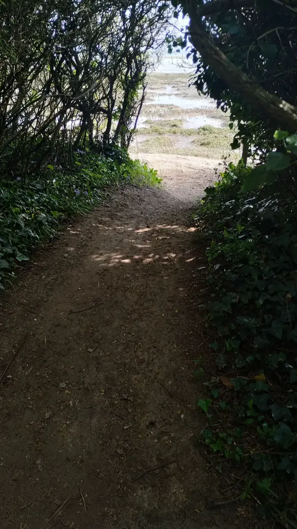 IMG_20250502_095416350_HDR.webp