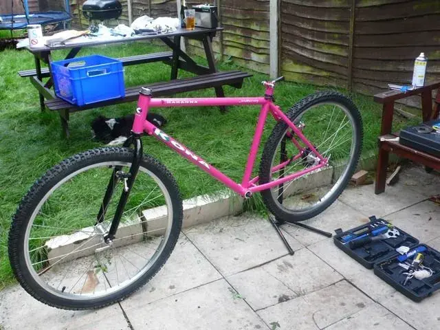 Hahanna Pink1.webp
