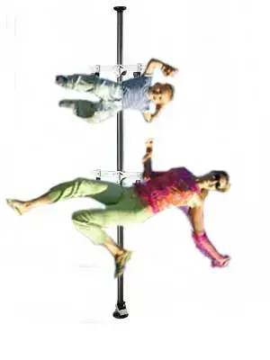 polefamily.webp