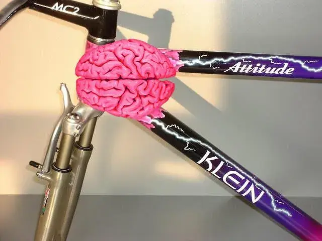 brains.webp