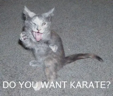 karate.webp