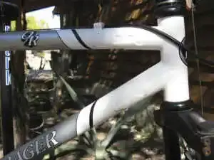 Bonty2.webp