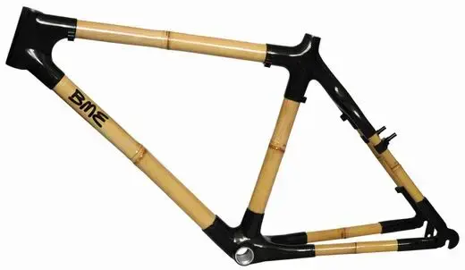 bamboo1.webp
