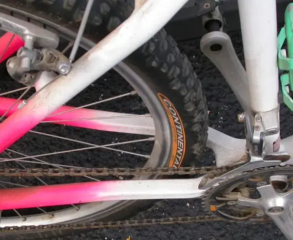 Chainstay.webp
