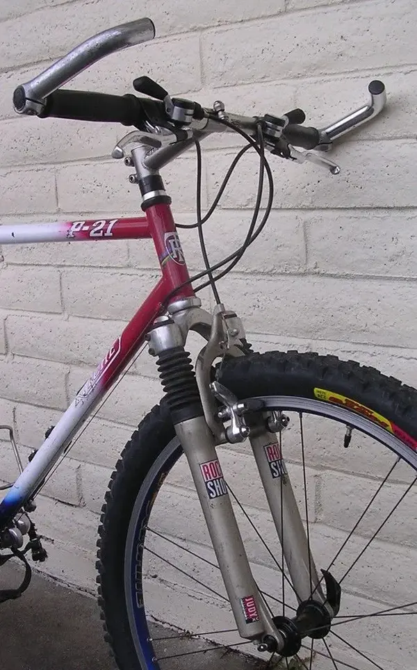 Ritchey_P21_05.webp