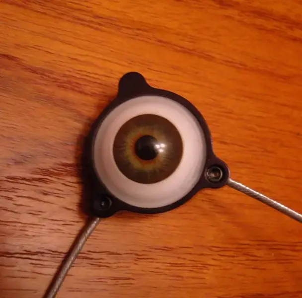 All seeing eye.webp