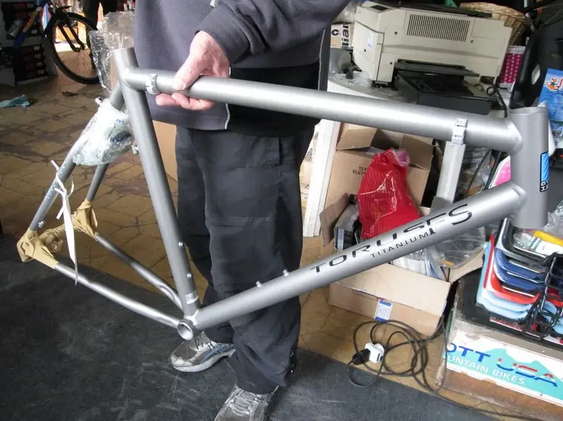 raleigh torus fs 2.webp
