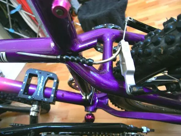 rear-v.webp