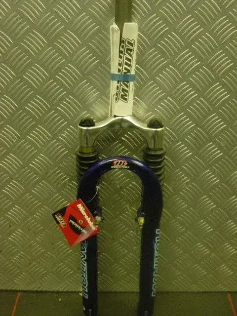 raleigh fully 024.webp