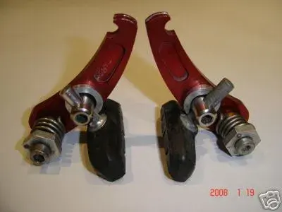 CANTI.webp