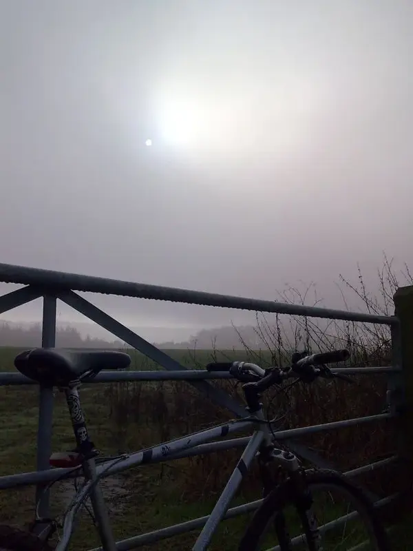 foggy.webp