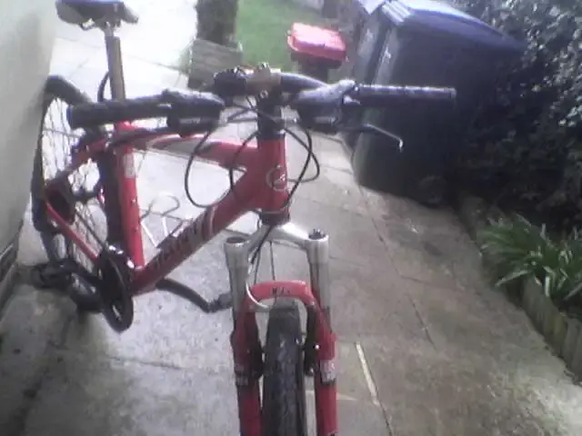 Image190.webp