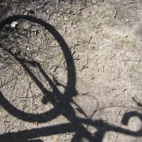 Shadow1.webp
