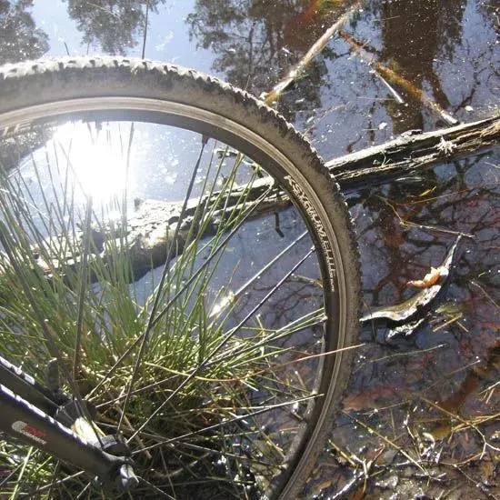 Wheel2.webp
