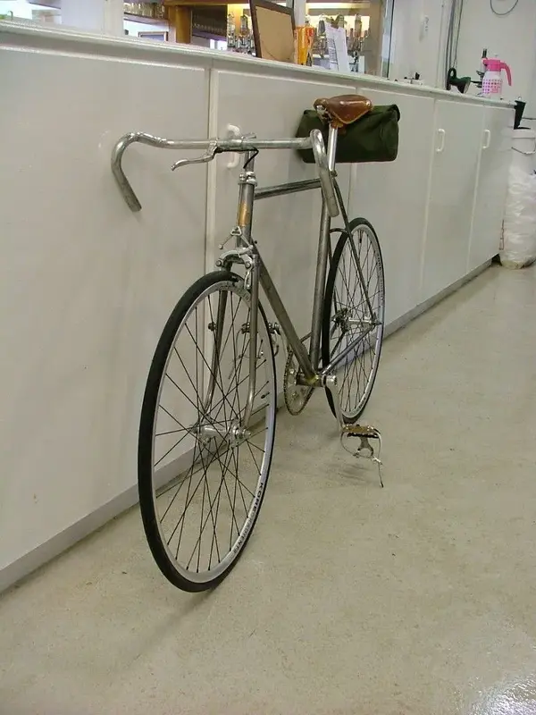the bicycle 017 (768x1024).webp