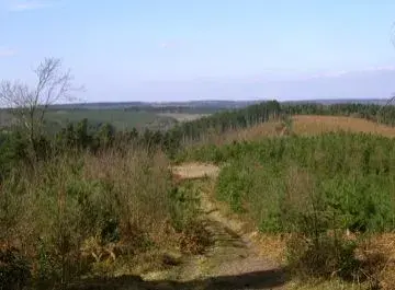 SSA40866.webp