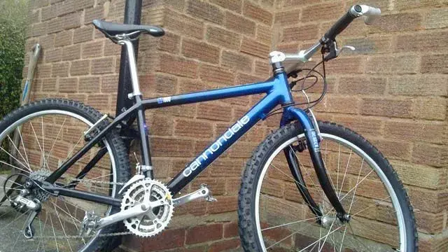 Cannondale m100 2025