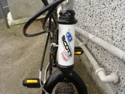 ScottFront.webp