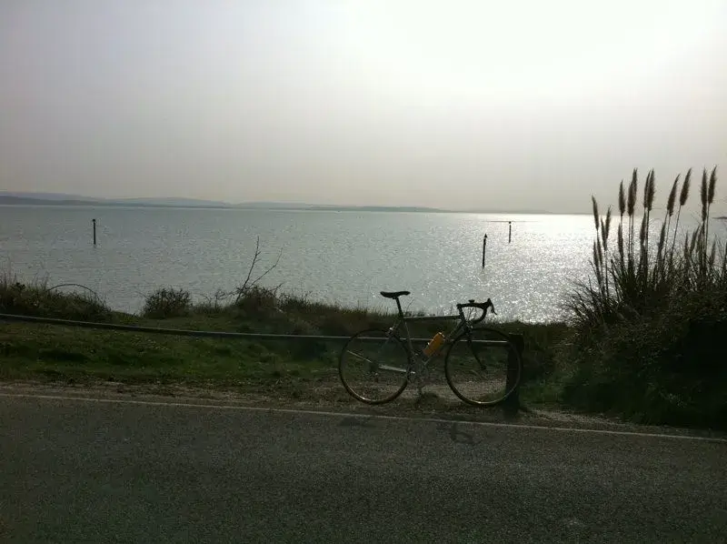 view from lepe beach.webp