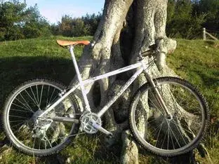 Photo-0036.webp