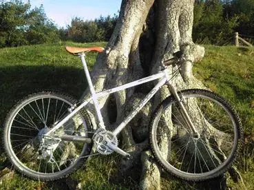 Photo-0036.webp