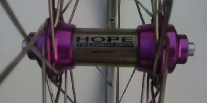 FIR Hope Purple5.webp