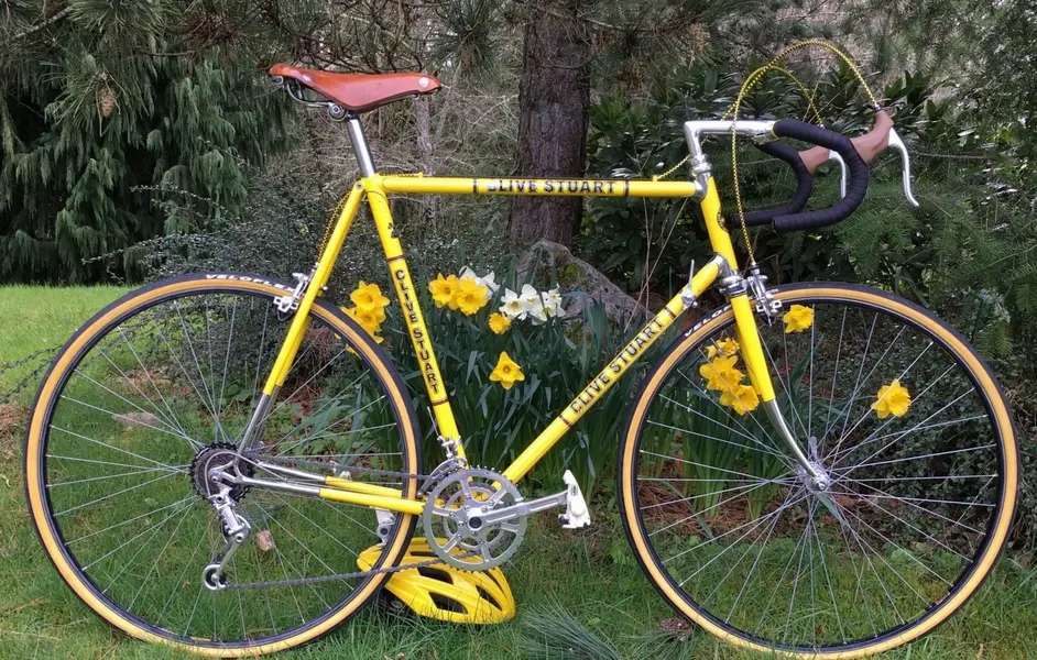 a Clive Stuart in dafodils.webp