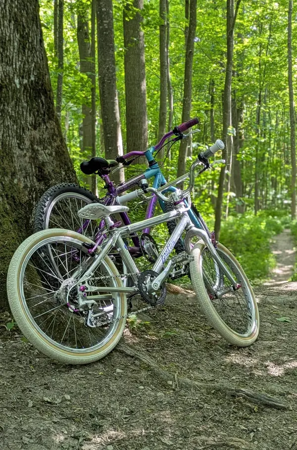 Mini YETI 21ae.webp
