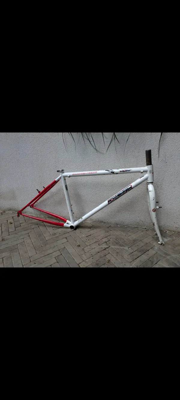 Screenshot_20250519-210431.webp
