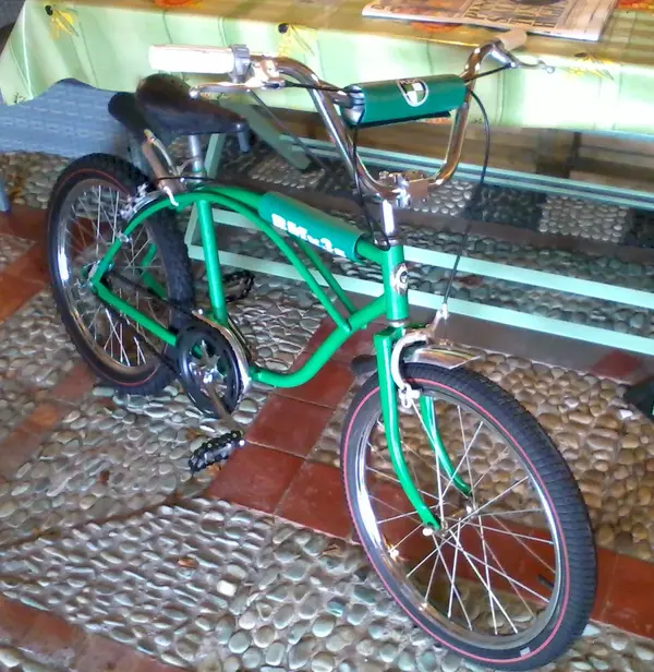 puchbmx2.webp