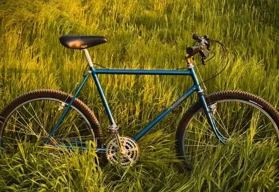Ritchey Everest.webp