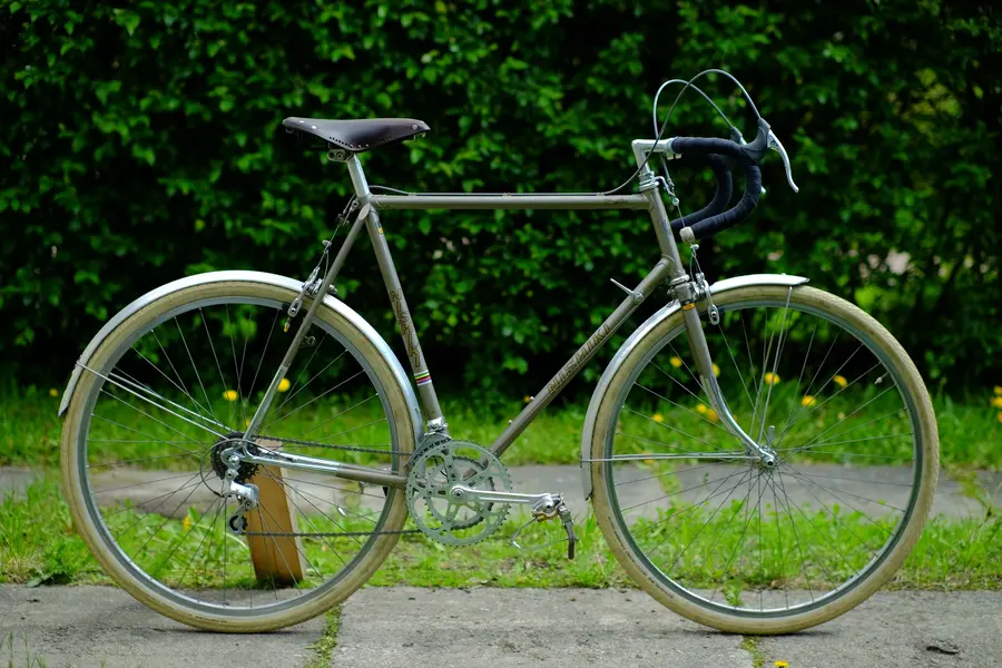 NishikiMaster (27).webp NishikiMaster (27).webp