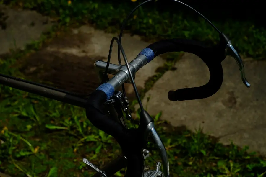 NishikiMaster (28).webp NishikiMaster (28).webp