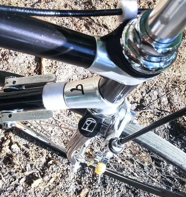 1987 ALAN frame, Tommaso head lugs, fork crown.webp