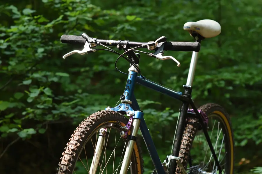 D72_4158_1.webp