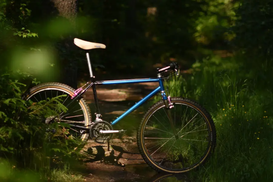D72_4201_1.webp