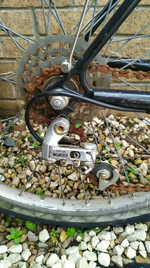 IMG-20250601-WA0005.webp