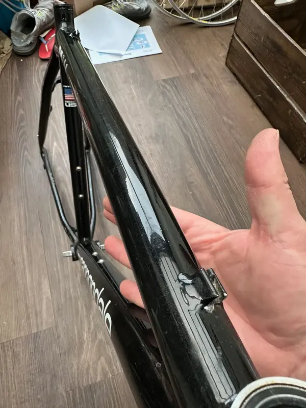 Cannondale 4.webp