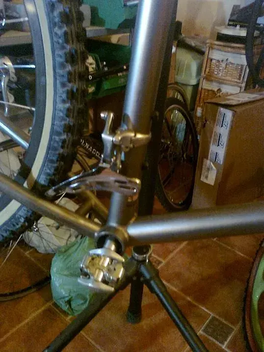 pedal wit.webp