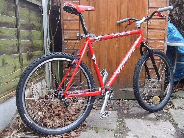 Singlespeed lo.webp