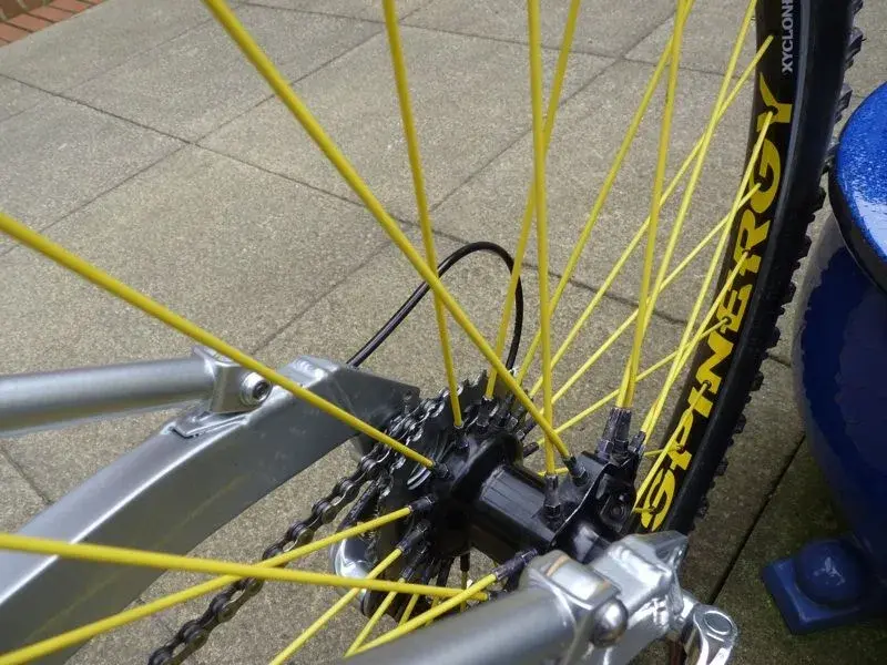 proflex rear end.webp