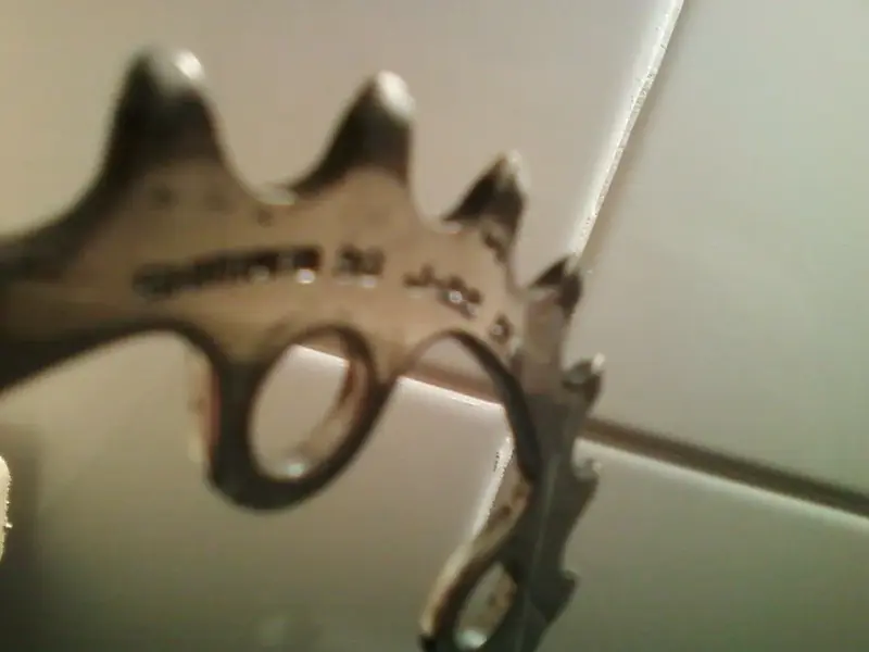 Photo-0015.webp
