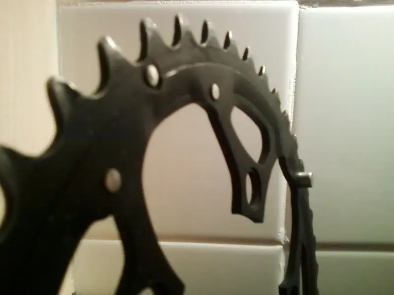 Photo-0014.webp