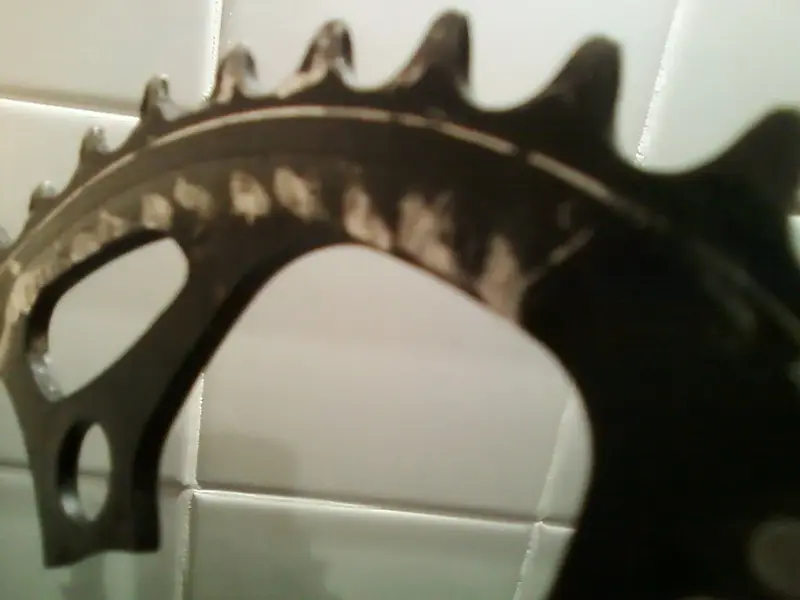 Photo-0017.webp