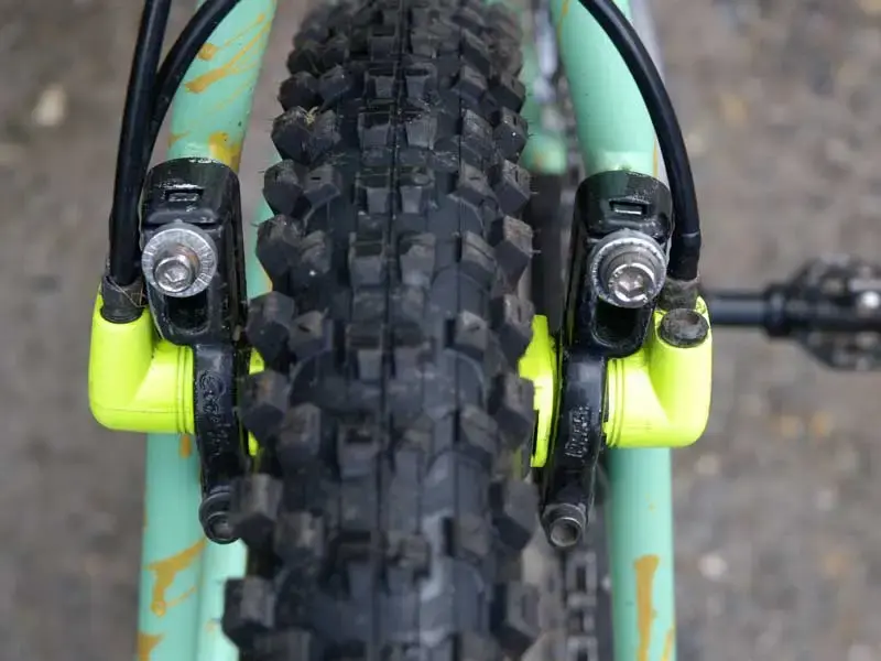 Magura-3.webp