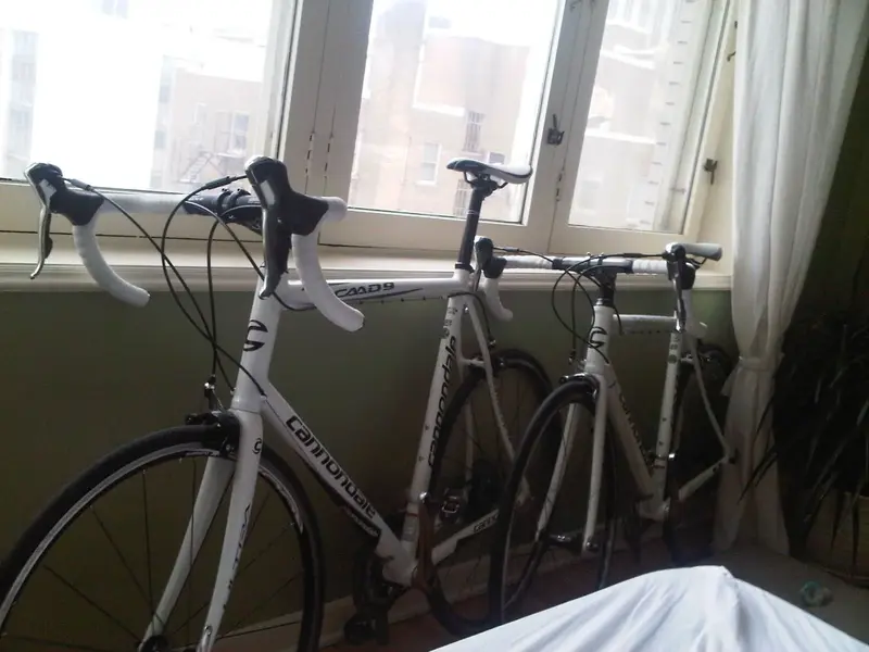 IMG01164-20110104-0839.webp